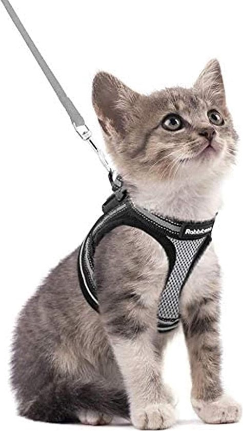 JKGHK Mini Varken Verstelbare Harnas Leash voor Hog Piggy en Andere Kleine Dieren Outdoor Reizen Leash Pet Training of Wandelen