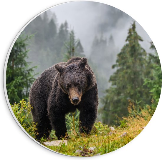 PVC Schuimplaat Muurcirkel - Bruine beer in bos met grote bomen en bergen - 20x20 cm Foto op Muurcirkel (met ophangsysteem)