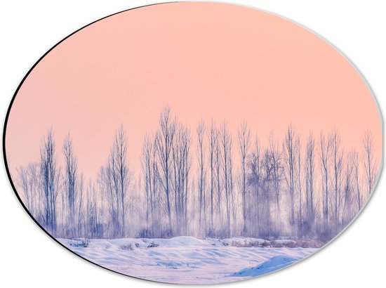 Dibond Ovaal - Sneeuw - Bomen - Landschap - Bos - 40x30 cm Foto op Ovaal (Met Ophangsysteem)