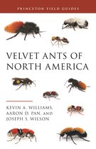 Princeton Field Guides145- Velvet Ants of North America