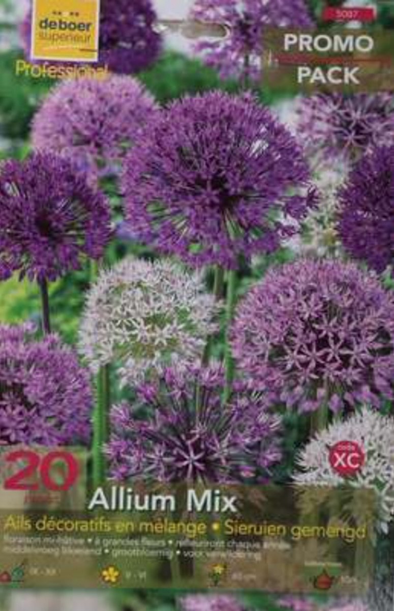 Allium gemengd mix - Sterrenlook bloembollen 20 stuks