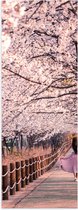 Poster Glanzend – Voetpad - Persoon - Bomen - Bloesem - Paaltjes - Rok - 30x90 cm Foto op Posterpapier met Glanzende Afwerking