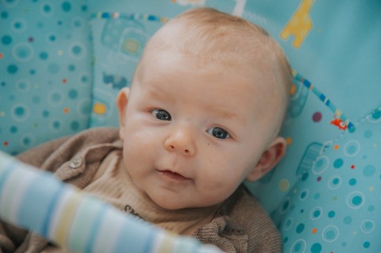 Eco Toys Animals Blauw Bouncer Wipstoel CH71103B