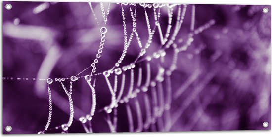 Tuinposter – Spinnenweb - Druppels - Paars - 100x50 cm Foto op Tuinposter (wanddecoratie voor buiten en binnen)
