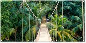 Wanddecoratie buiten Jungle - Palmboom - Brug - Natuur - Planten - 160x80 cm - Tuindoek - Buitenposter
