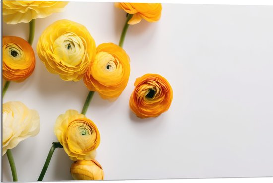 Dibond - Gele Bloemen op Witte Achtergrond - 90x60 cm Foto op Aluminium (Wanddecoratie van metaal)