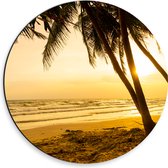 Dibond Muurcirkel - Kokosnoot Palmbomen op het Strand bij Fekleurige Zonsopgang - 30x30 cm Foto op Aluminium Muurcirkel (met ophangsysteem)