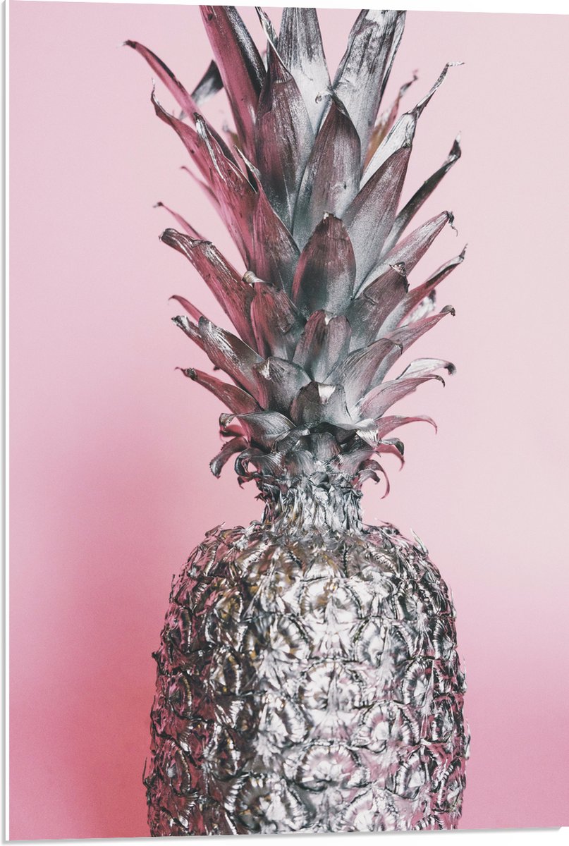 PVC Schuimplaat- Zilveren Ananas met Roze Achtergrond - 50x75 cm Foto op PVC Schuimplaat