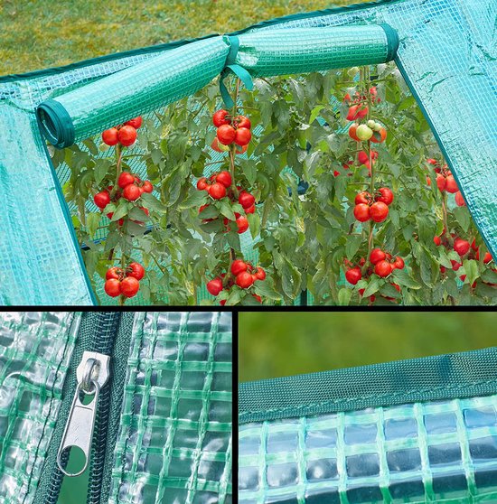 Sekey Broeikas met oprolbare ingang, tomaten, groenten, broeikas, 100 x