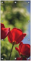 Tuinposter Rode Klaproos 100x200cm- Foto op Tuinposter (wanddecoratie voor binnen en buiten)