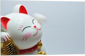 Vlag - Japans Maneki Neko Kattenbeeldje in het Rood met Wit en Goud - 75x50 cm Foto op Polyester Vlag
