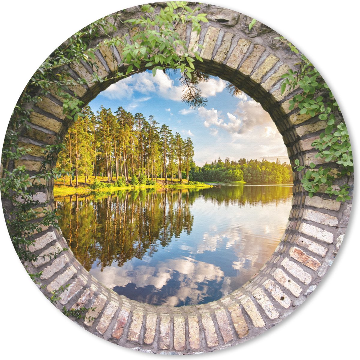 Muismat rond 50x50 cm - Mousepad Bomen - Water - Doorkijk - Ronde muismatten