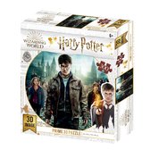 Harry Potter - Harry, Ron en Hermelien in de strijd Puzzel 500 stk 61x46 cm - met 3D lenticulair effect