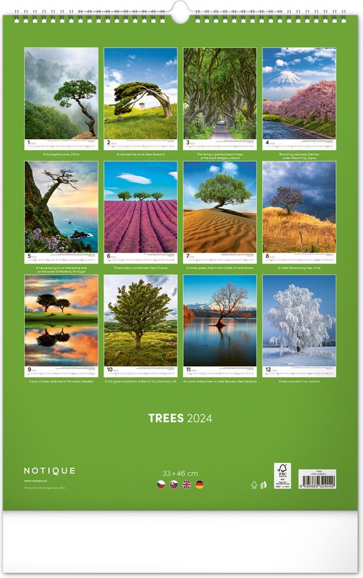 2024 Trees Festival 2024 Calendar Reena Catriona