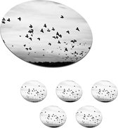 Onderzetters voor glazen - Rond - Dieren - Vogels - Wolken - Zwart - Wit - 10x10 cm - Glasonderzetters - 6 stuks
