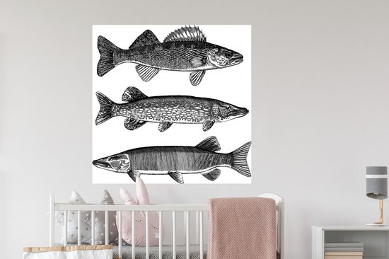 Stickers Stickers muraux - trois poissons - 100x100 cm - Feuille adhésive XXL