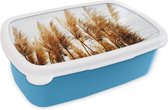 Broodtrommel Blauw - Lunchbox - Brooddoos - Pampasgras - Zon - Gras - 18x12x6 cm - Kinderen - Jongen