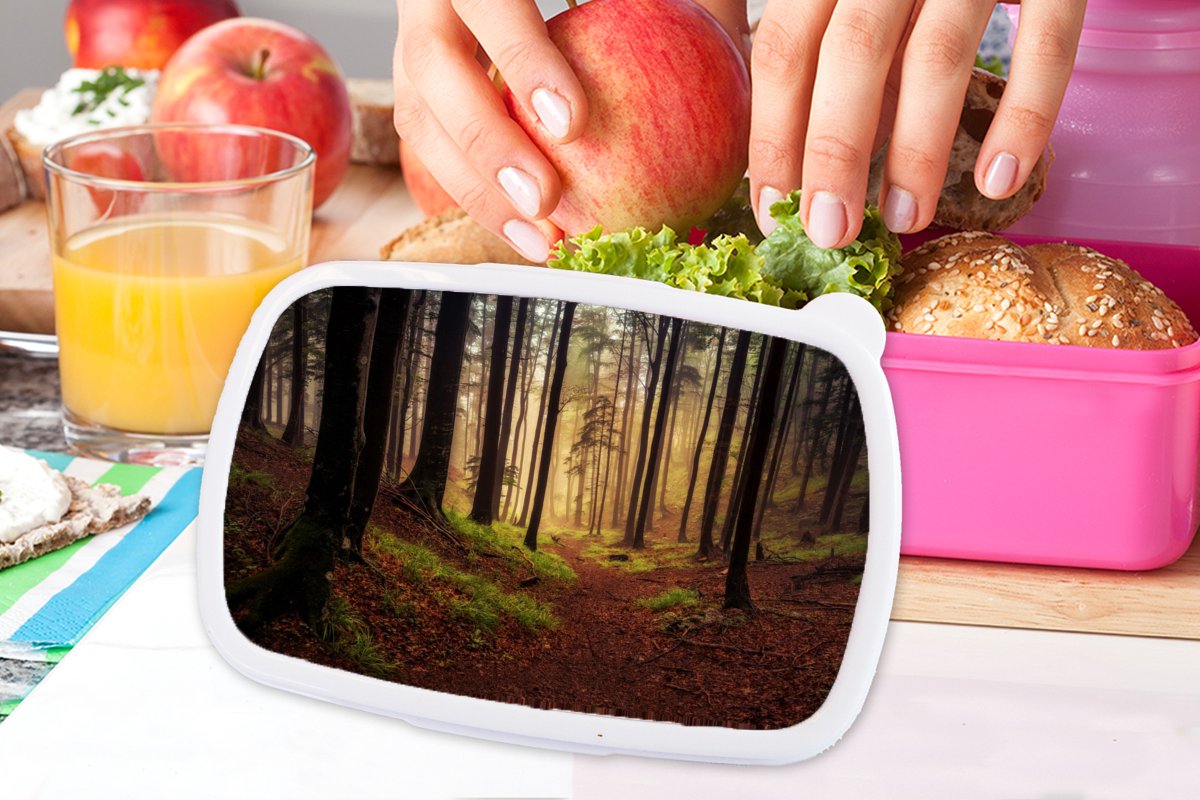 Broodtrommel Roze - Lunchbox - Brooddoos - Bomen - Natuur - Bos - 18x12x6 cm - Kinderen - Meisje