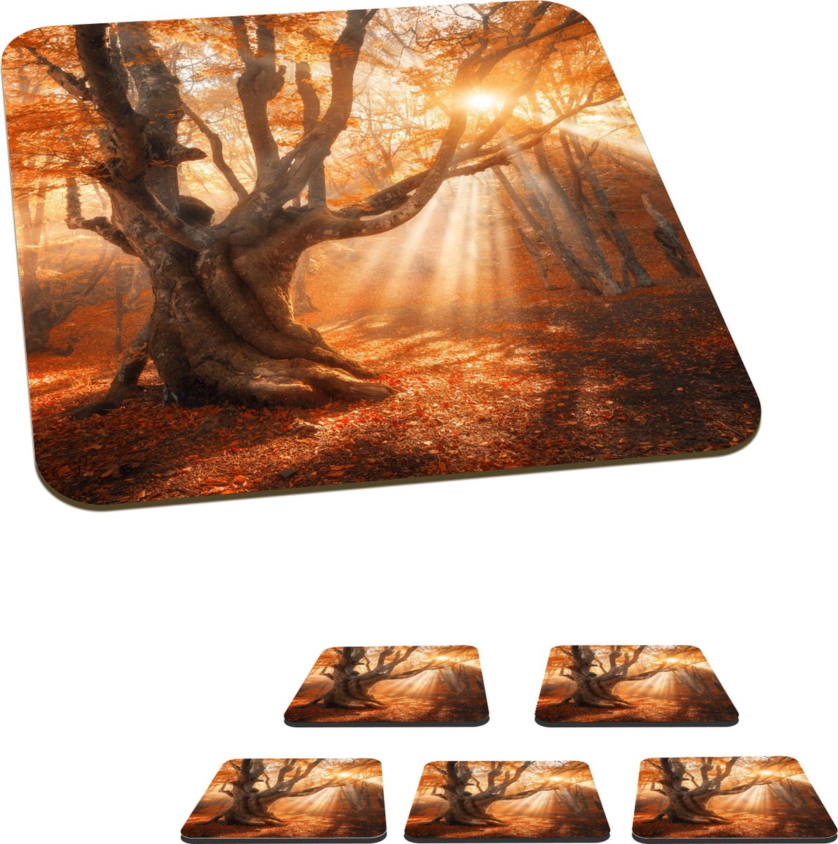 Onderzetters voor glazen - Boom - Natuur - Herfst - 10x10 cm - Glasonderzetters - 6 stuks