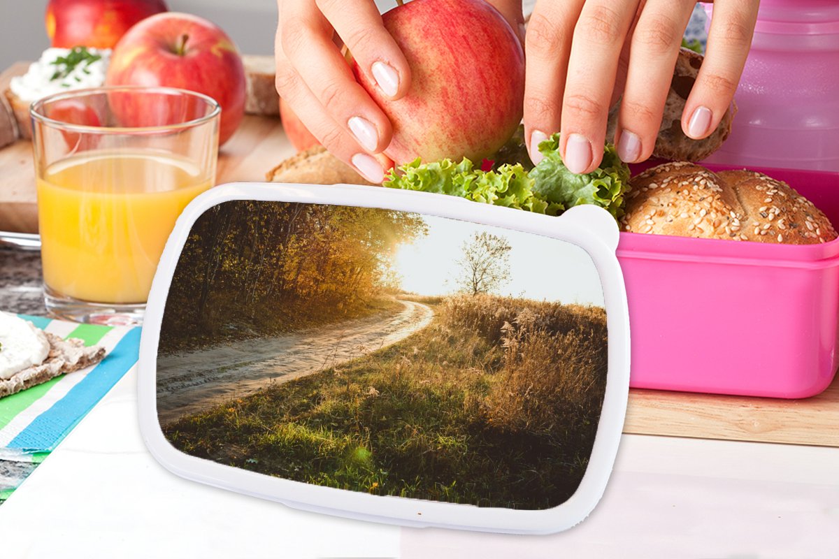 Broodtrommel Roze - Lunchbox - Brooddoos - Pad - Natuur - Boom - 18x12x6 cm - Kinderen - Meisje