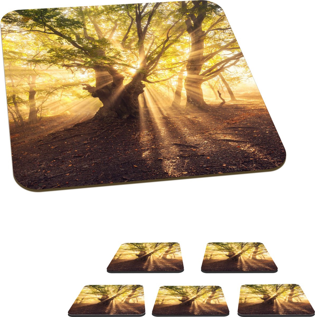 Onderzetters voor glazen - Boom - Bos - Zon - 10x10 cm - Glasonderzetters - 6 stuks