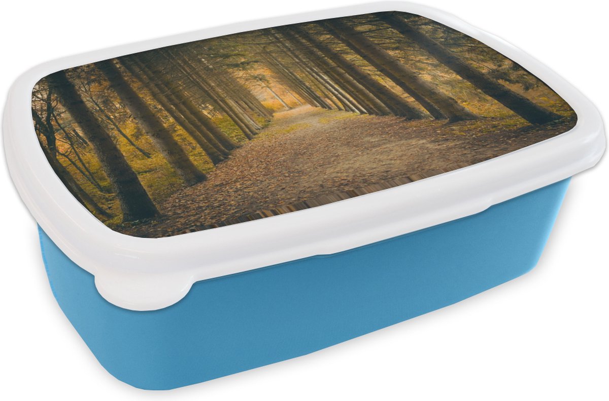 Broodtrommel Blauw - Lunchbox - Brooddoos - Pad - Bomen - Bos - 18x12x6 cm - Kinderen - Jongen