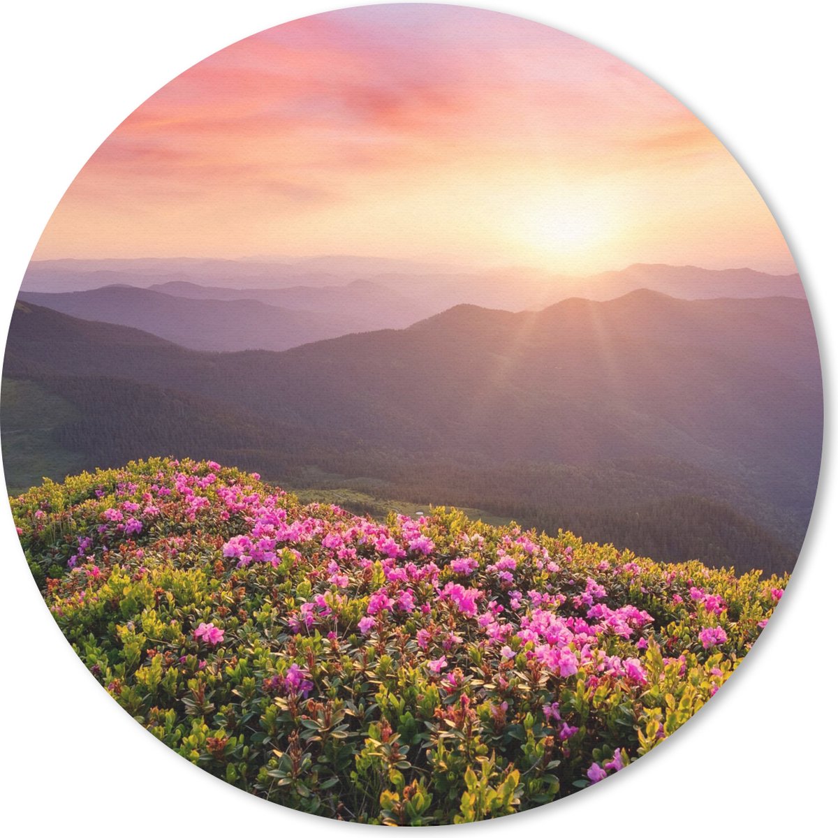 Muismat rond 40x40 cm - Mousepad Bloemen - Berg - Zonsondergang - Landschap - Ronde muismatten