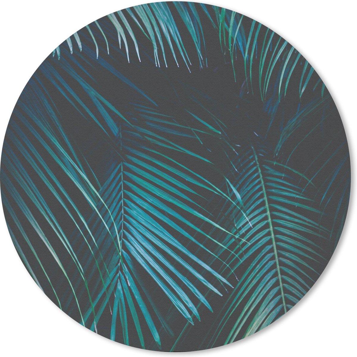Muismat rond 40x40 cm - Mousepad Palm - Palmboom - Tropisch - Ronde muismatten