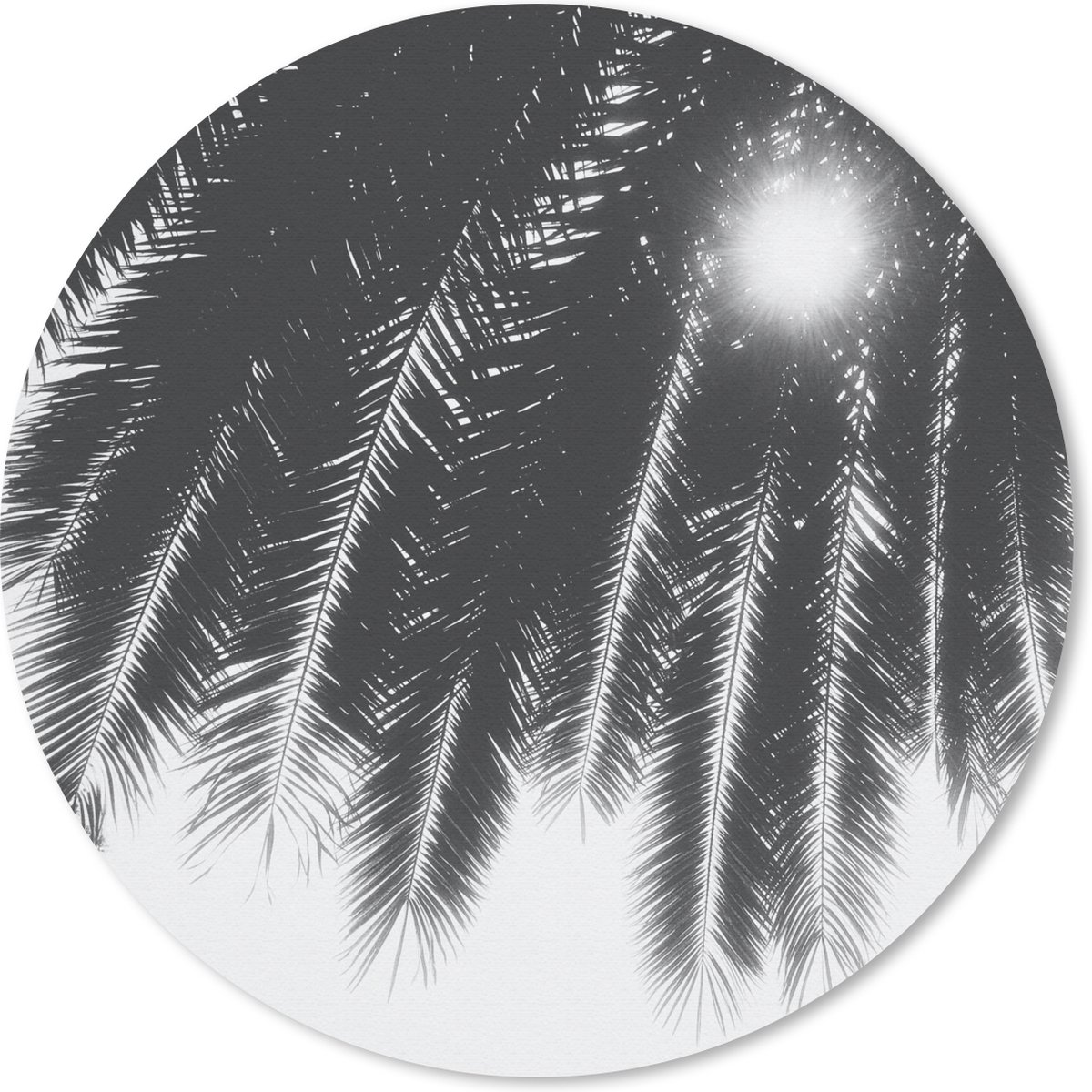 Muismat rond 20x20 cm - Mousepad Palmbladeren - Tropisch - Zon - Palmboom - Ronde muismatten