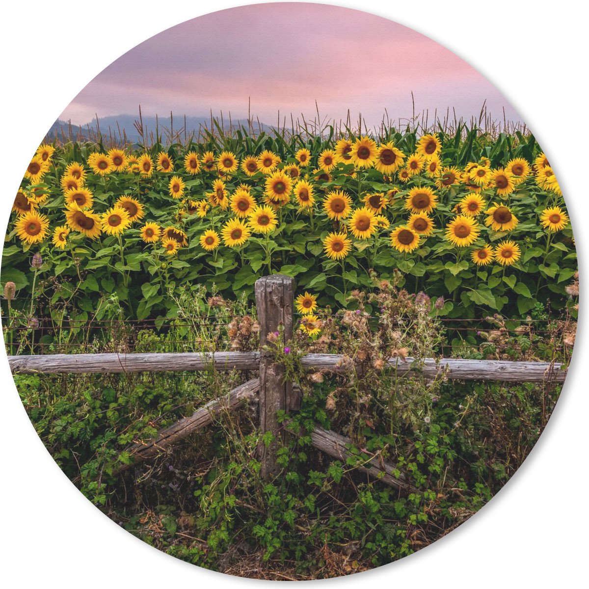 Muismat rond 20x20 cm - Mousepad Zonnebloem - Bloemen - Planten - Ronde muismatten