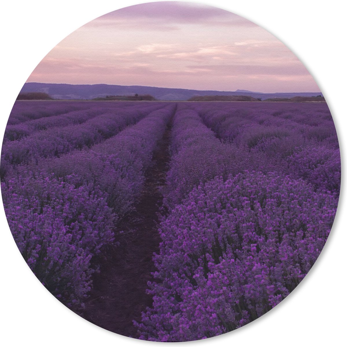 Muismat rond 30x30 cm - Mousepad Lavendel - Paars - Bloemen - Natuur - Ronde muismatten