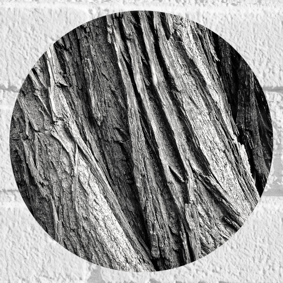 Muursticker Cirkel - Boom - Boomstam - Hout - 20x20 cm Foto op Muursticker