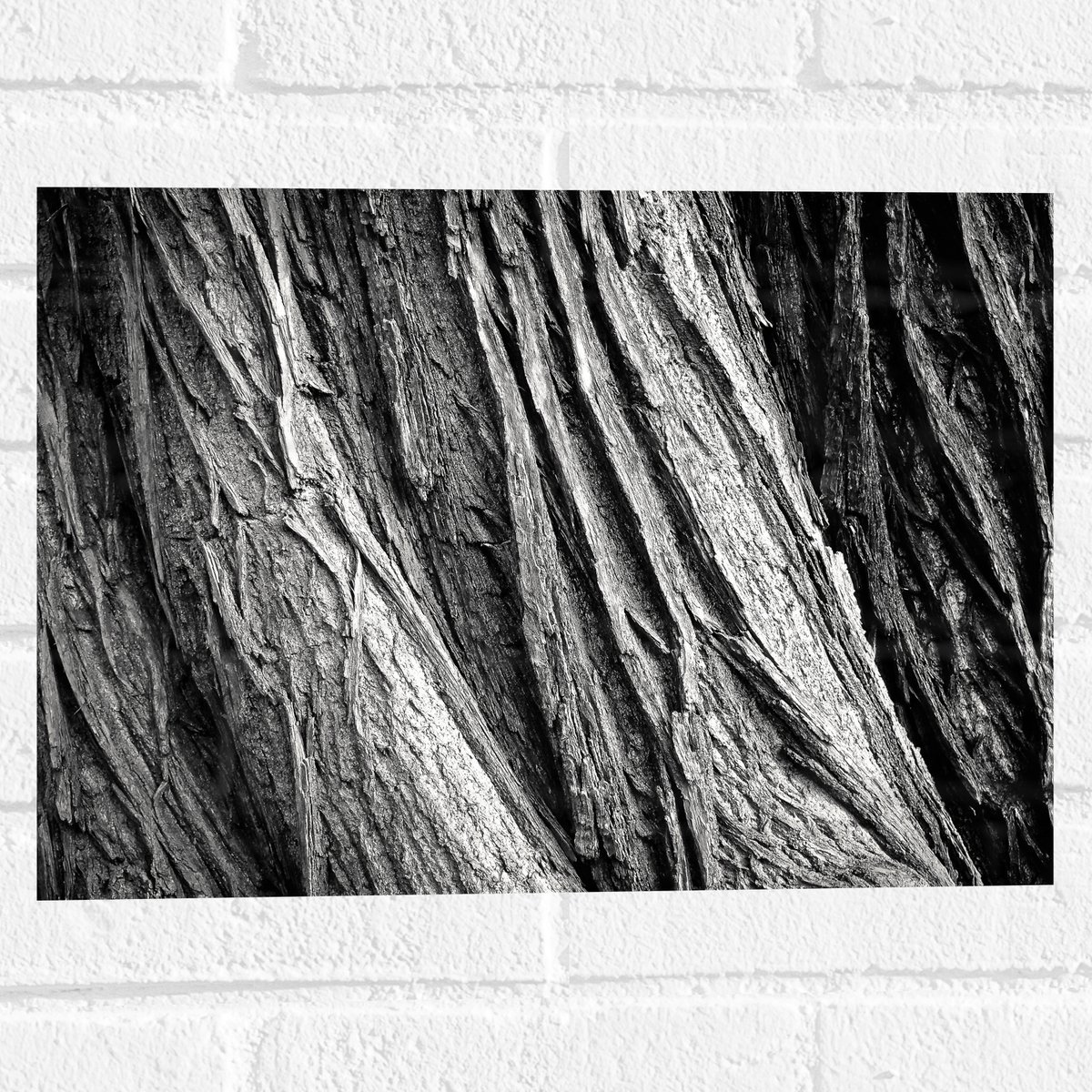Muursticker - Boom - Boomstam - Hout - 40x30 cm Foto op Muursticker