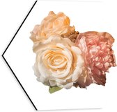 Dibond Hexagon - Witte, Beige en Roze Bloemen tegen Witte Achtergrond - 30x26.1 cm Foto op Hexagon (Met Ophangsysteem)