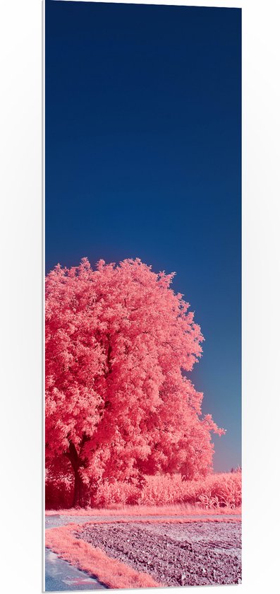 PVC Schuimplaat - Landschap - Boom - Weg - Planten - Zand - Roze - 40x120 cm Foto op PVC Schuimplaat (Met Ophangsysteem)