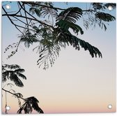 Tuinposter – Bomen - Takken - Bladeren - Natuur - 50x50 cm Foto op Tuinposter (wanddecoratie voor buiten en binnen)