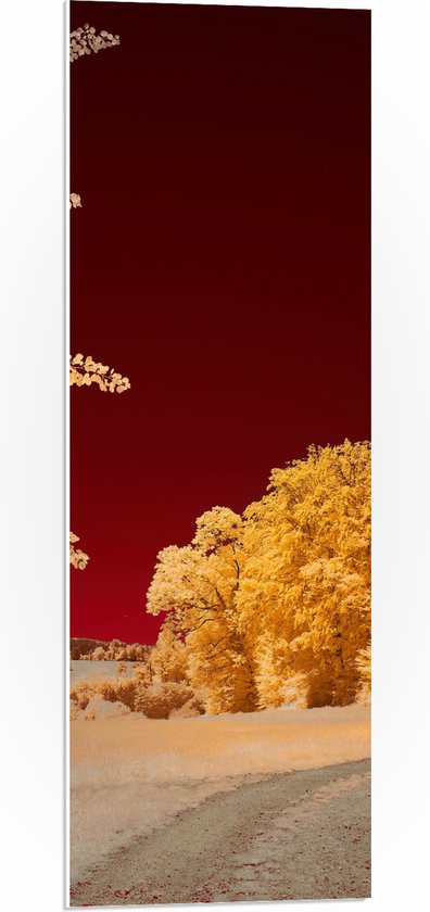 PVC Schuimplaat- Landschap - Bomen - Rood - Geel - 30x90 cm Foto op PVC Schuimplaat