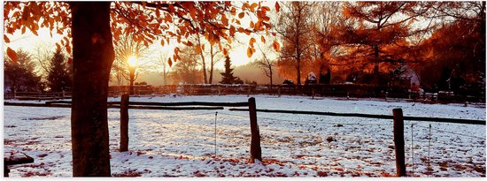 Poster (Mat) - Landschap - Winter - Bomen - Bladeren - Sneeuw - Zonsondergang - 60x20 cm Foto op Posterpapier met een Matte look