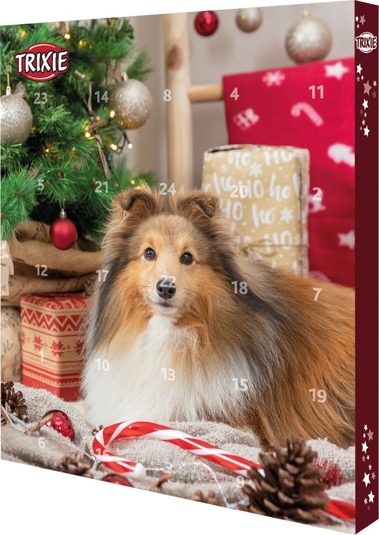 Adventskalender Met Hondensnoepjes