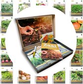 Groentezaden pakket - 24 soorten - In luxe geschenkdoos - Tomaat, Sla, Kolen, Boontjes, Paprika, Wortel, Ui, Komkommer - 24 Essentiële en Culinaire Soorten