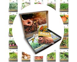 Groentezaden pakket - 24 soorten - In luxe geschenkdoos - Tomaat, Sla, Kolen, Boontjes, Paprika, Wortel, Ui, Komkommer - 24 Essentiële en Culinaire Soorten