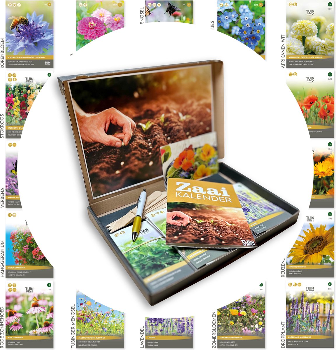 Bloemenzaden pakket - 24 populaire soorten - In luxe geschenkdoos - Zomerbloemenmengsel, Zinnia, Klaproos, Korenbloem en meer