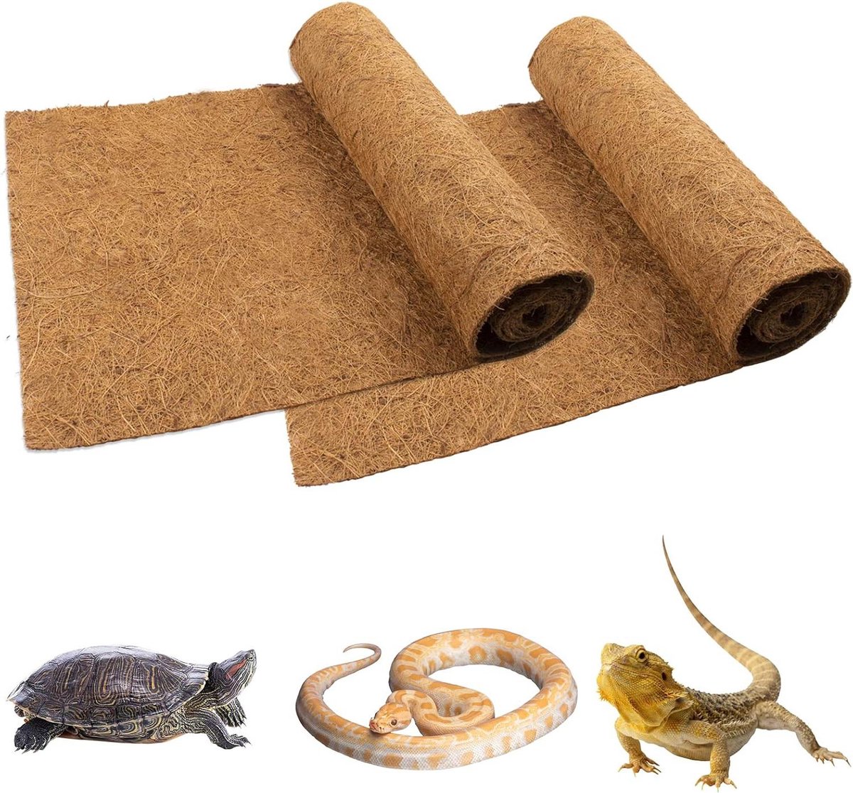 Reptiel