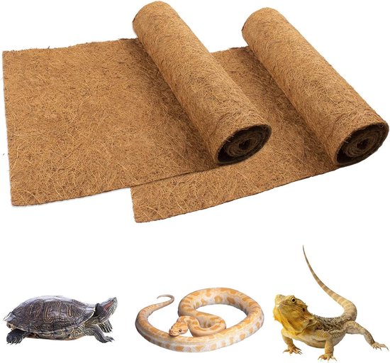 Grande Cachette De Reptile En Résine Pour Gecko, Dragon Barbu, Lézard, Tortue, Grenouille, Araignée (taille M
