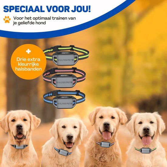 Vier honden met gekleurde VULPES PETS anti-blafbanden: geel, roze, grijs en blauw. Optimale training voor je hond.
