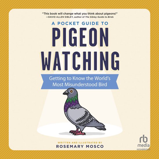 A Pocket Guide to Pigeon Watching - cover