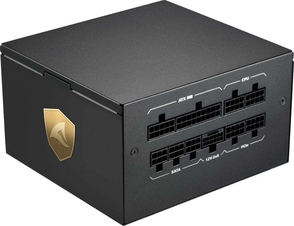 Sharkoon Rebel P20 Power Supply Unit 850 W 24-Pin Atx Atx Zwart voeding - afbeelding 3