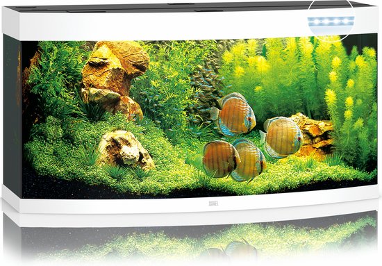 Juwel Aquarium Vision 260 - Wit