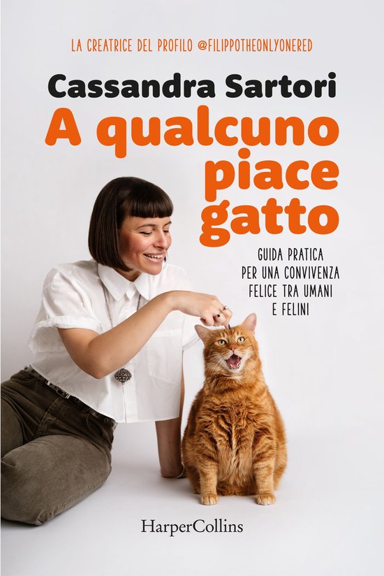 A qualcuno piace gatto - cover