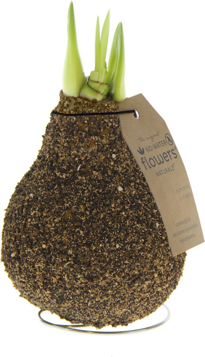Naturalz Corkz Melange